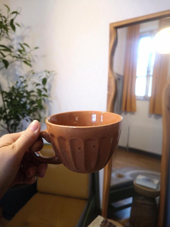 Codicei Studio Brassó Kültér fotó