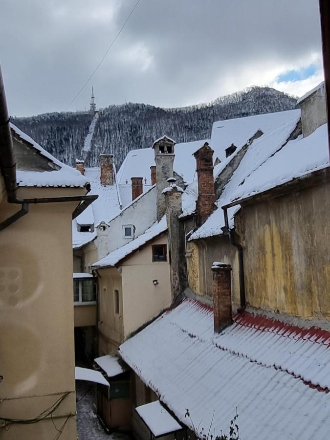 Codicei Studio Brassó Kültér fotó